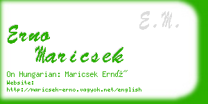 erno maricsek business card